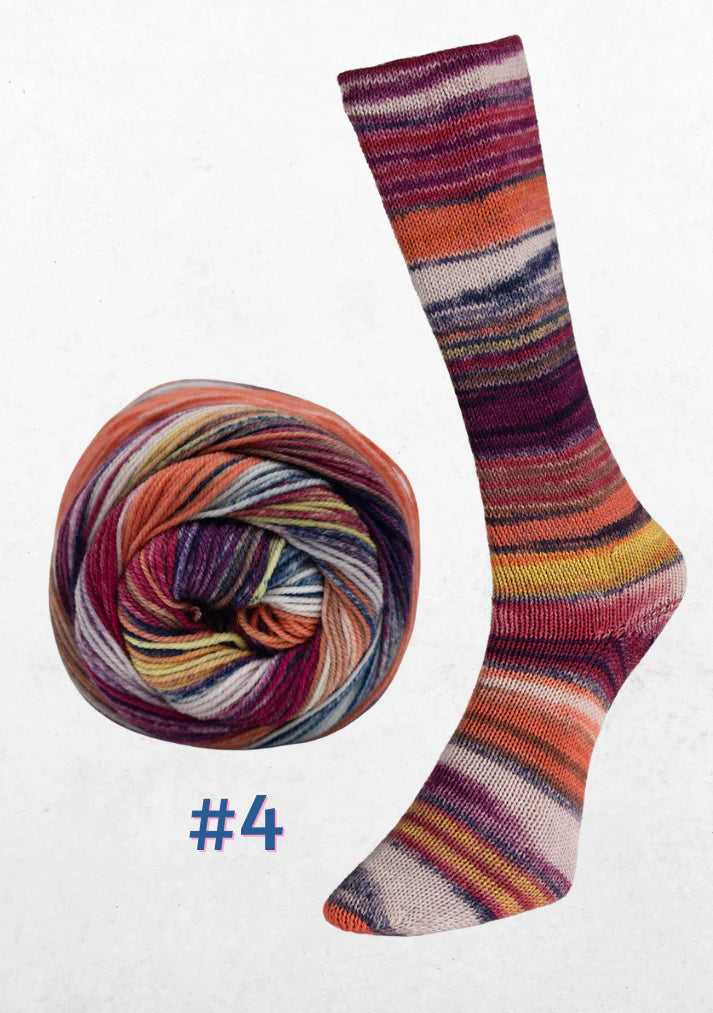 Laines du Nord Eclectic Sock