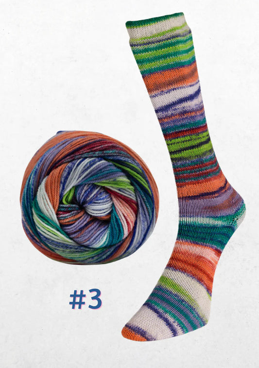 Laines du Nord Eclectic Sock