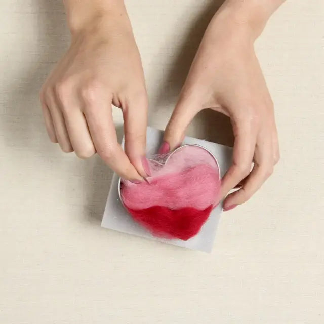 Beginner Needle Felting Kit