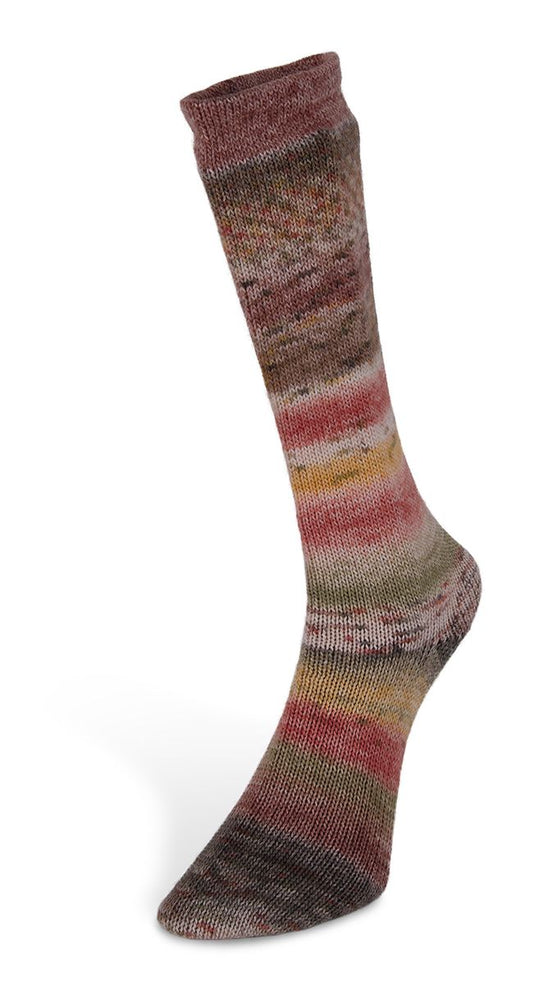 Laines du Nord Carnival Socks