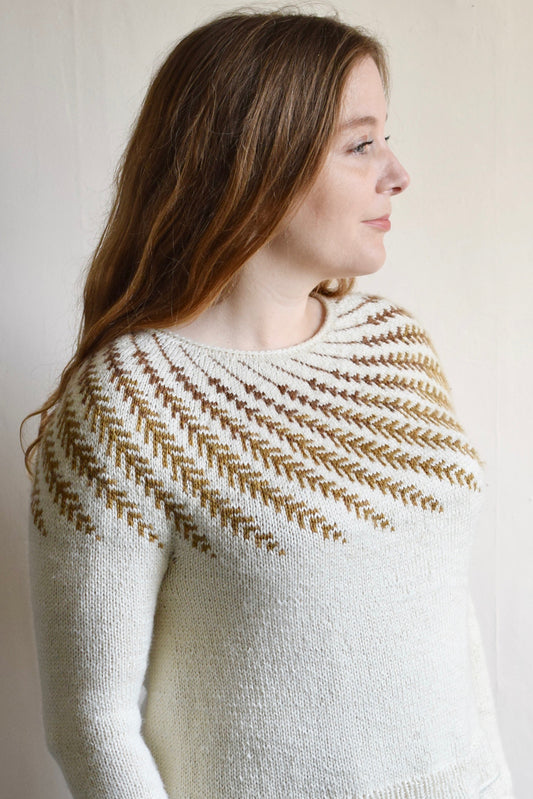 Avena Sweater Class