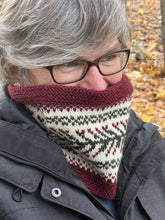 Load image into Gallery viewer, Holiday Stroll Cowl Kit