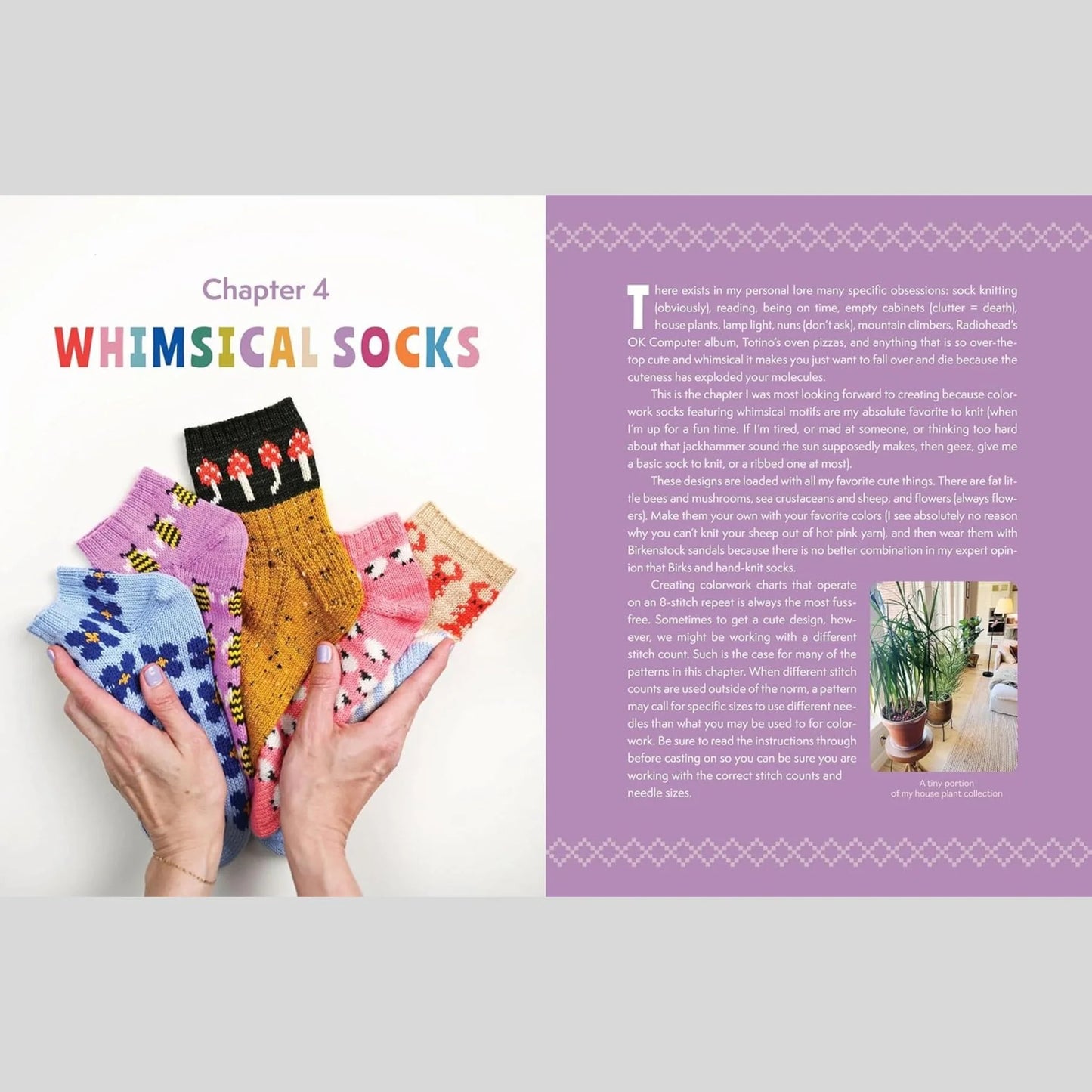 Sock Obsession by Summer Lee