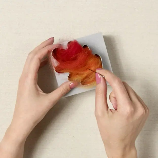 Beginner Needle Felting Kit