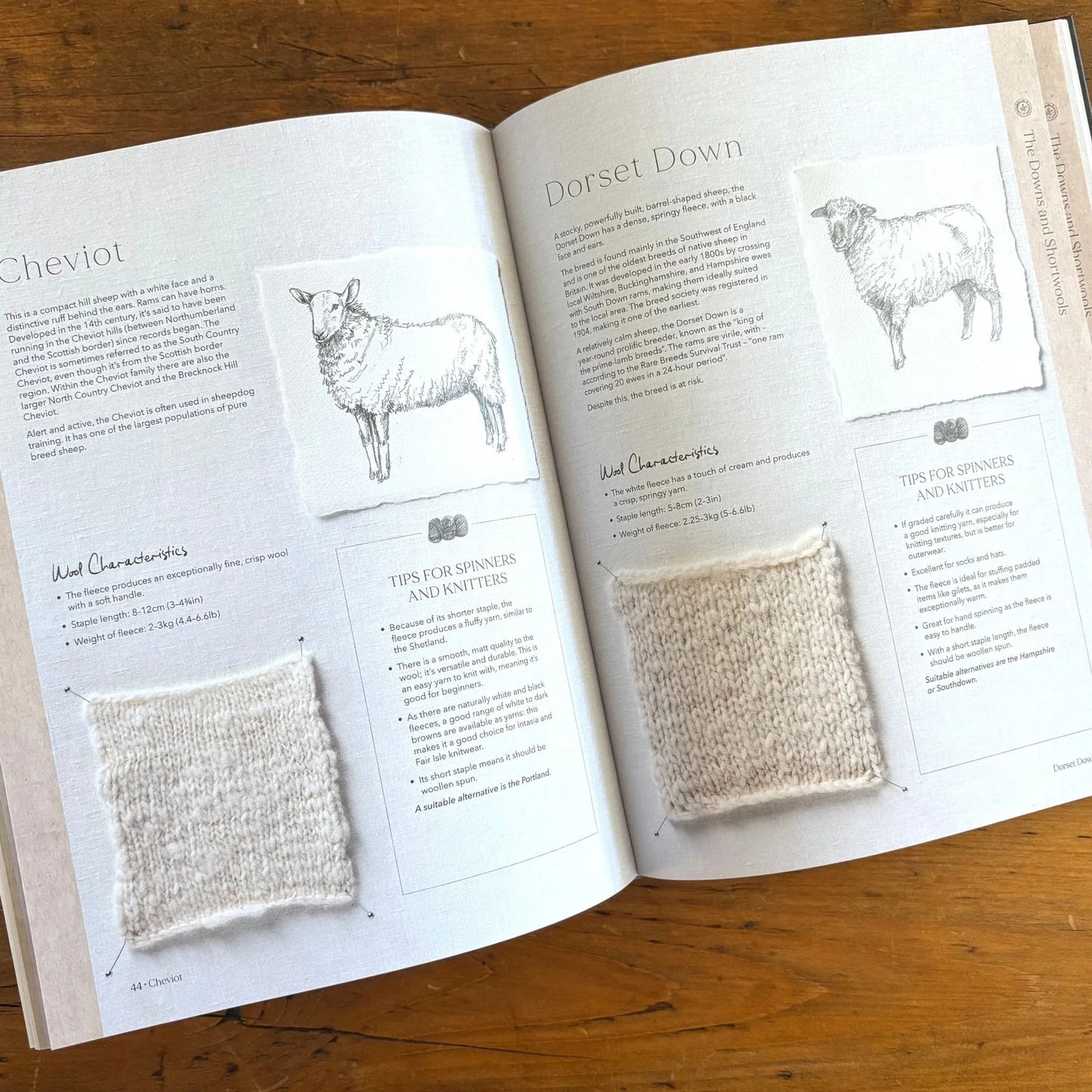 Wonder of Wool by Justine Lee & Jess Morency