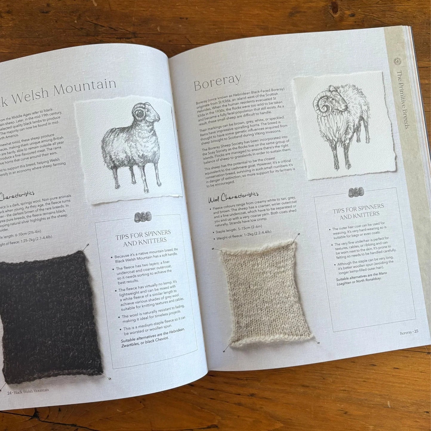 Wonder of Wool by Justine Lee & Jess Morency