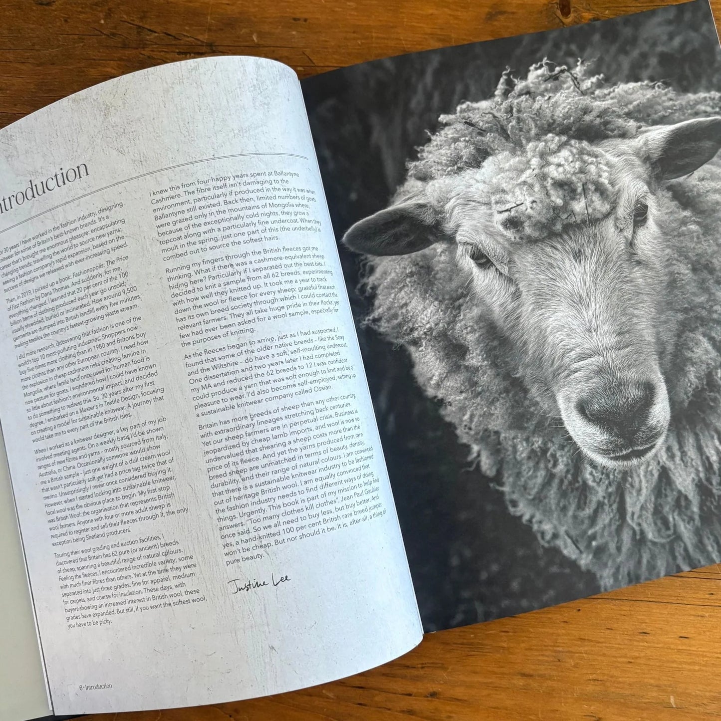 Wonder of Wool by Justine Lee & Jess Morency