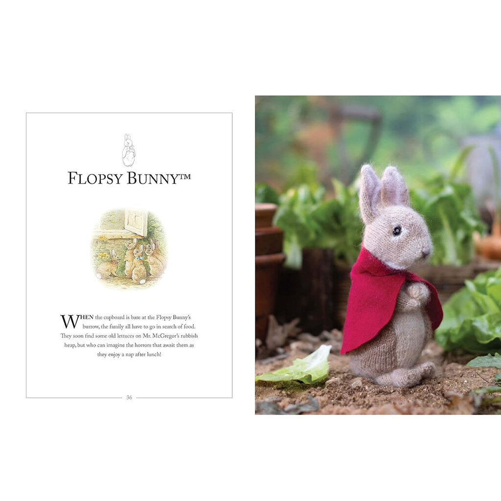 Knitting Peter Rabbit: 12 Toy Knitting Patterns from the Tales of Beatrix Potter by Claire Garland