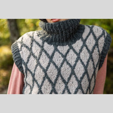 Load image into Gallery viewer, 52 Weeks of Chunky Knits by Laine