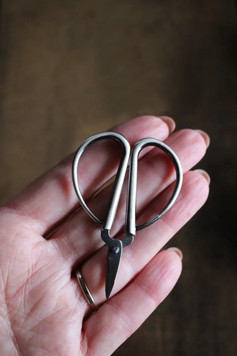 Mini Bonsai Snips Antique Silver