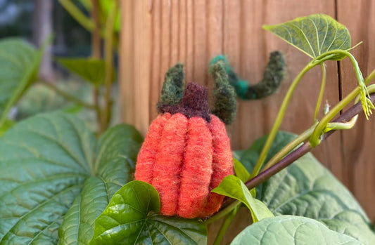 Pumpkin Needle Felting Kit