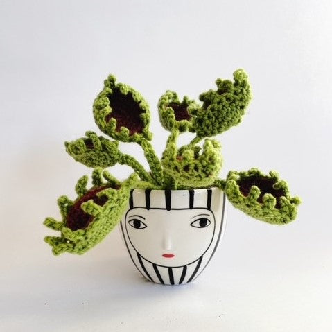 Crocheted Houseplants: Beautiful Flora to Make for Your Home by Emma Varnam